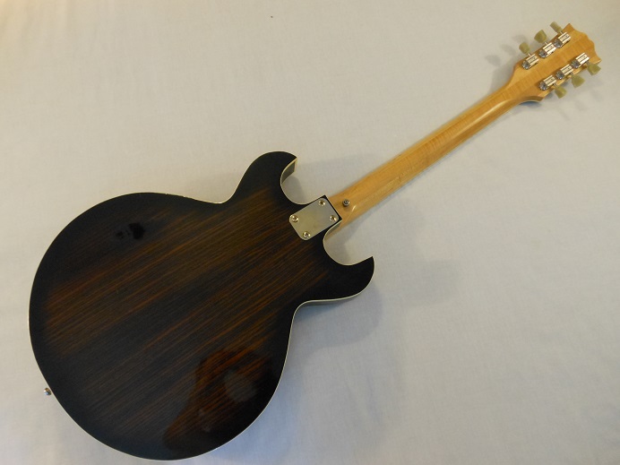 HollowBodyRosewood Picture 2